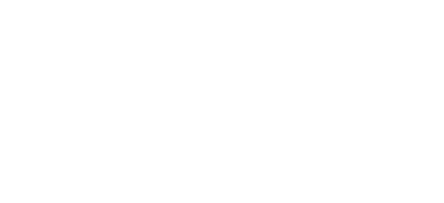 The Aesthetic Society